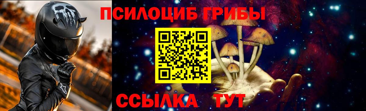 Псилоцибиновые грибы прущие грибы  Вход с VPN  Псилоцибиновые грибы Psilocybine cubensis  Городец 